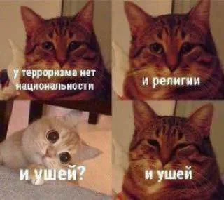 Изображение к публикации