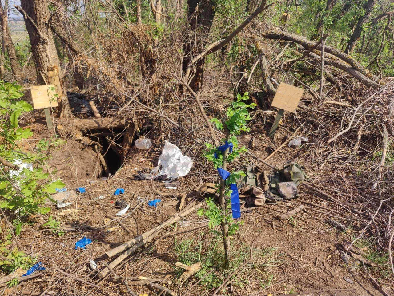 Изображение к публикации