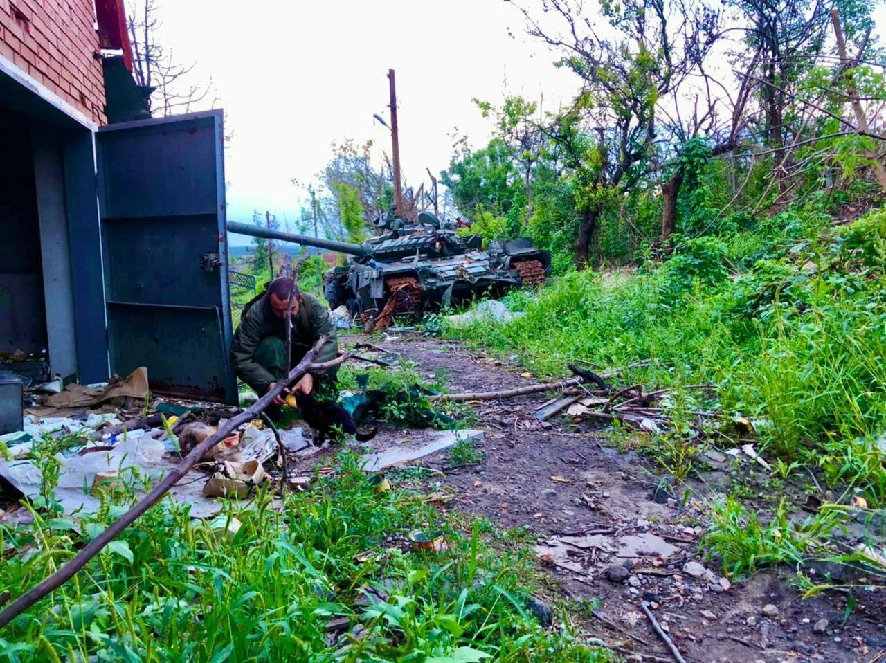 Изображение к публикации