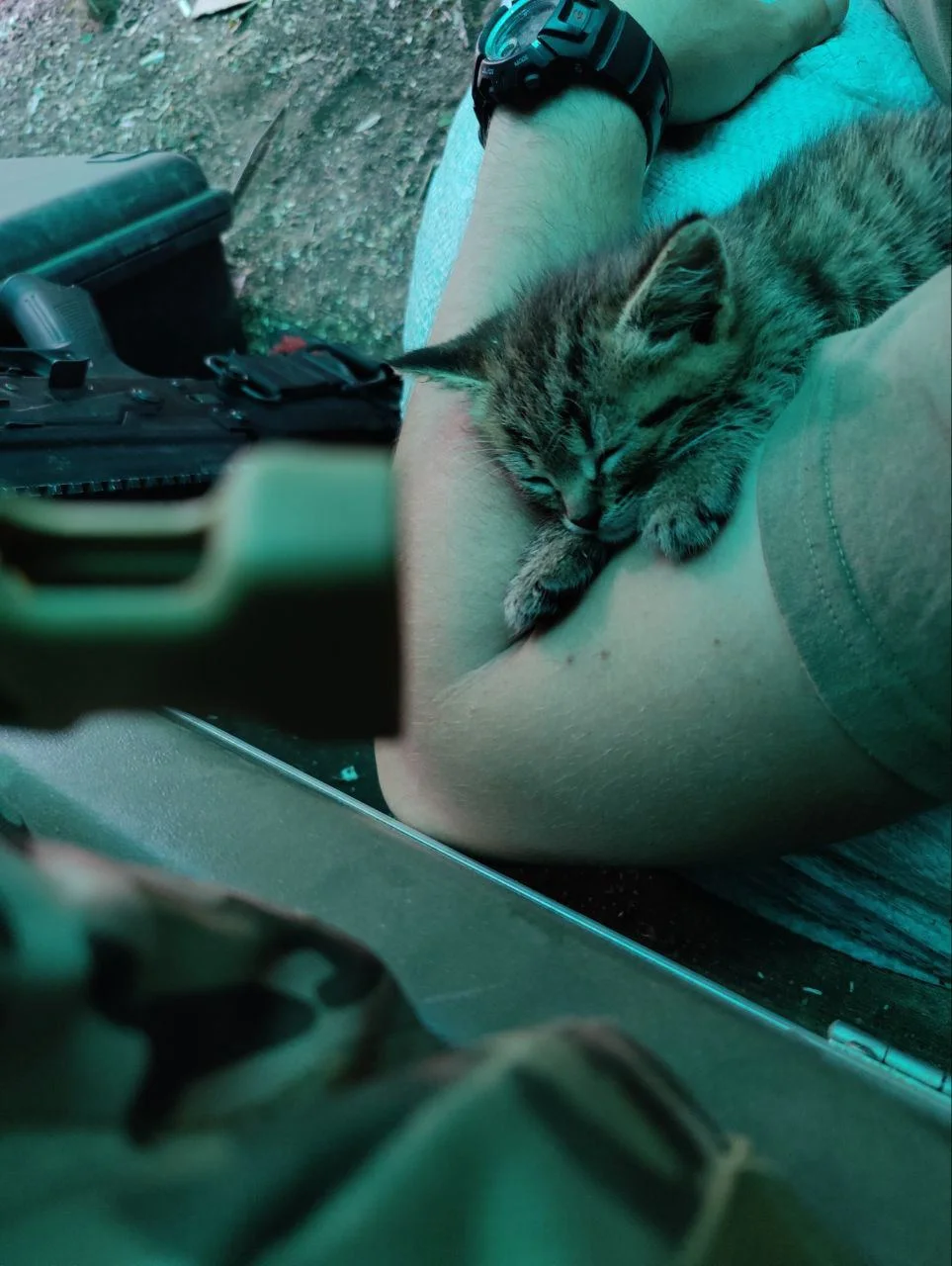 Изображение к публикации