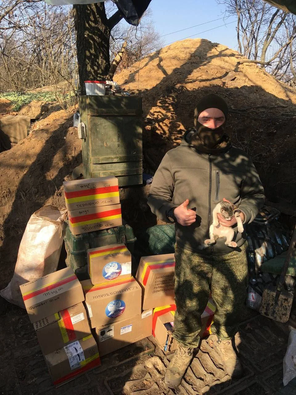 Изображение к публикации