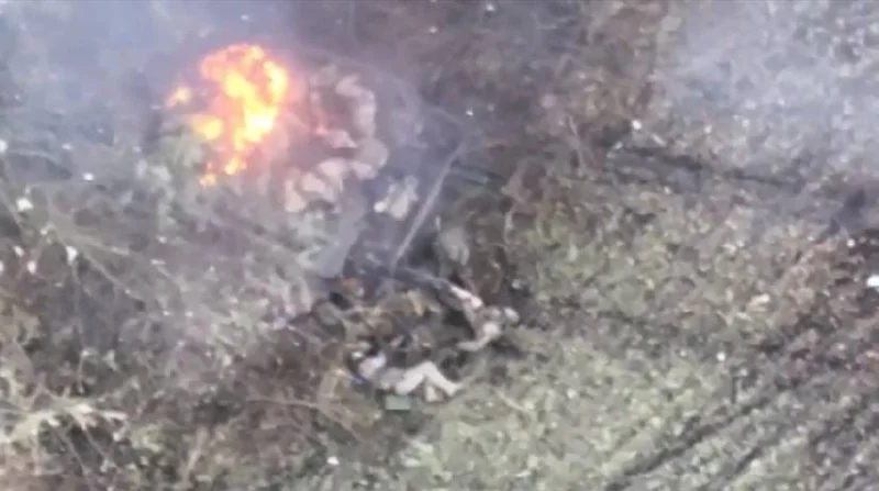 Изображение к публикации