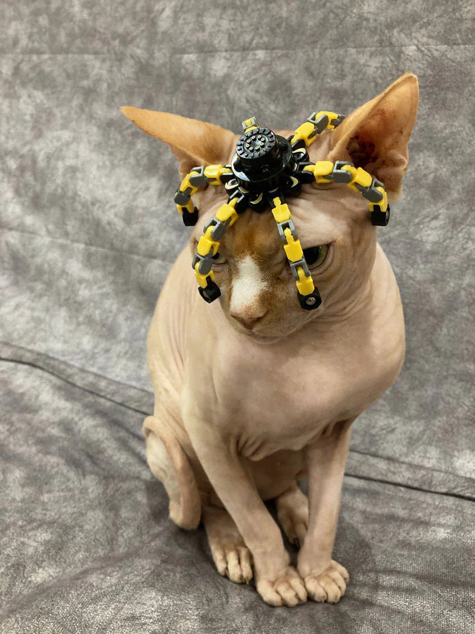 Изображение к публикации