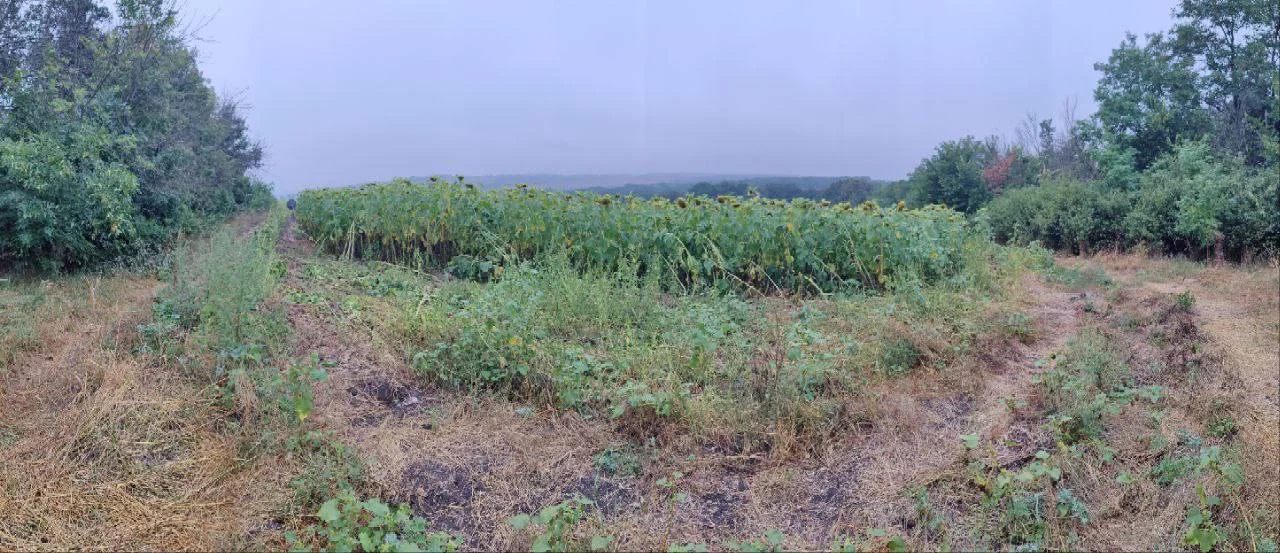 Изображение к публикации