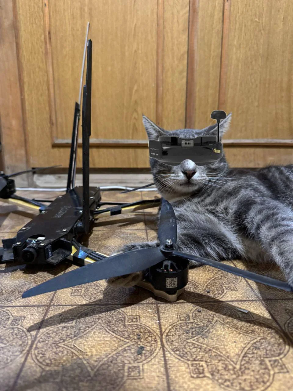 Изображение к публикации