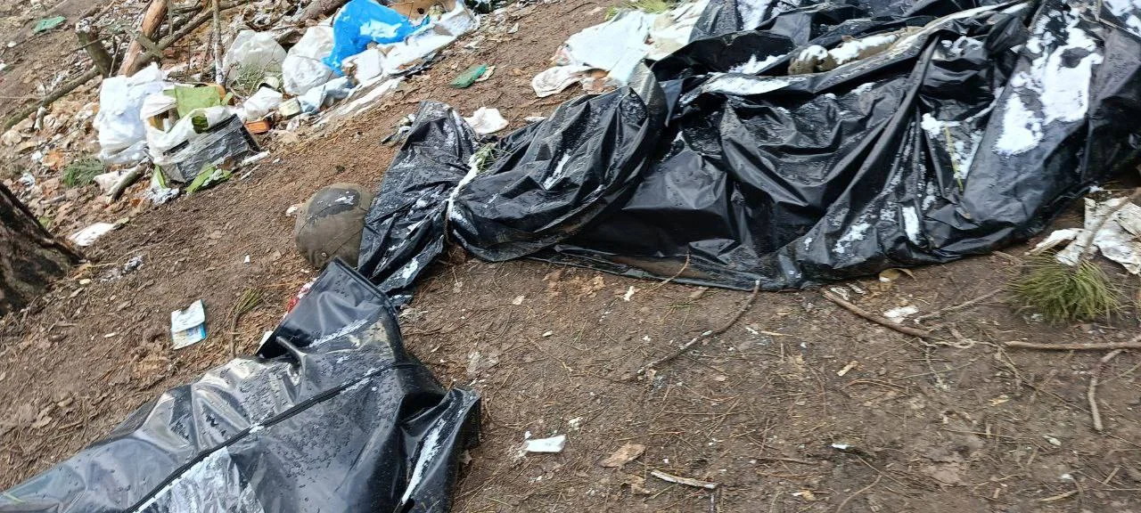 Изображение к публикации