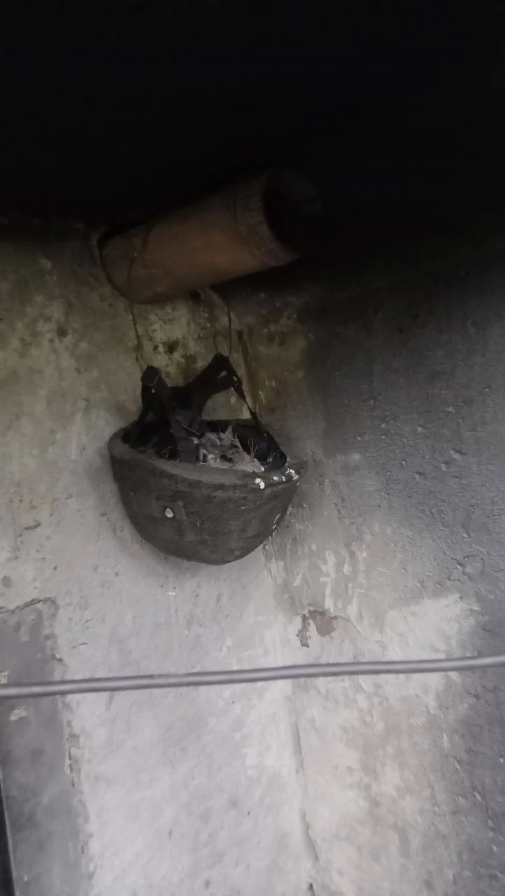 Изображение к публикации