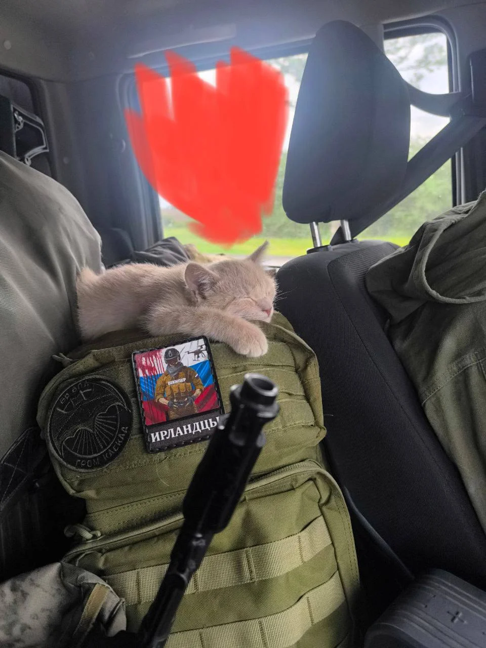 Изображение к публикации