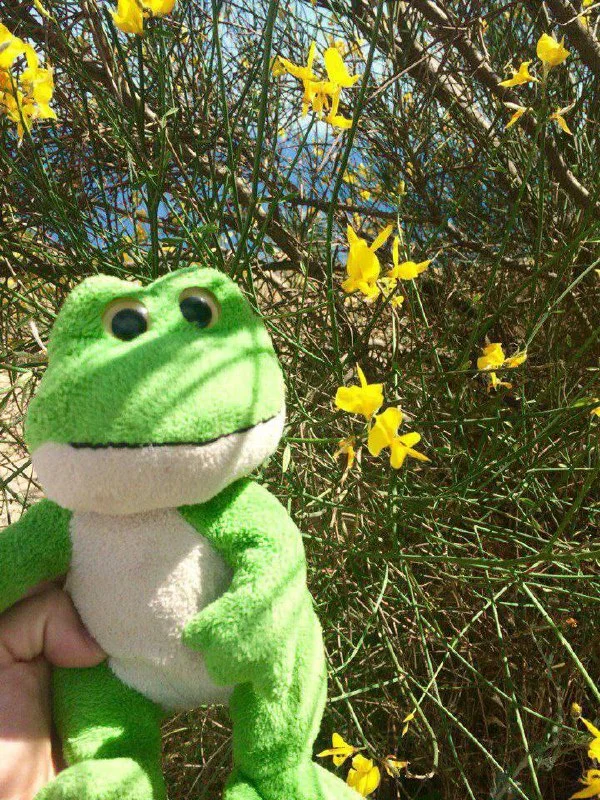 Изображение к публикации