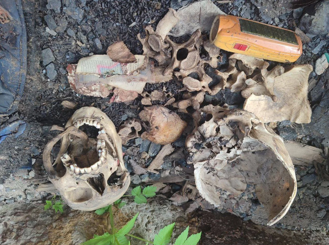 Изображение к публикации