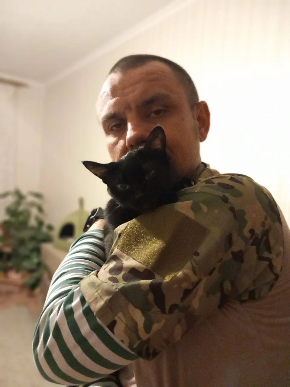 Изображение к публикации