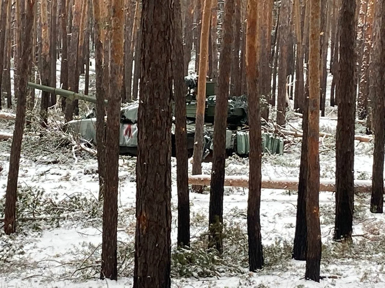 Изображение к публикации