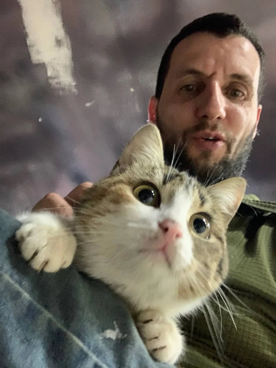 Изображение к публикации