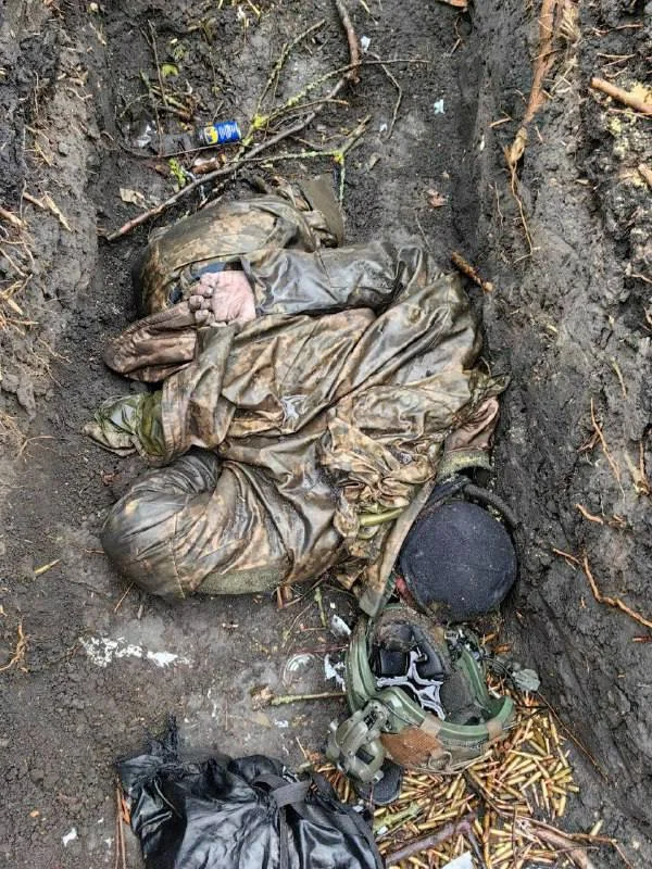 Изображение к публикации