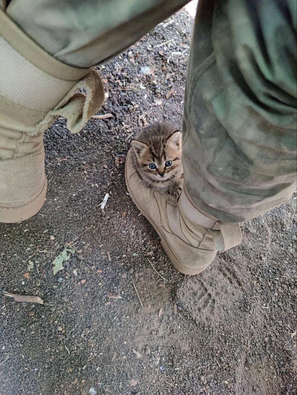 Изображение к публикации