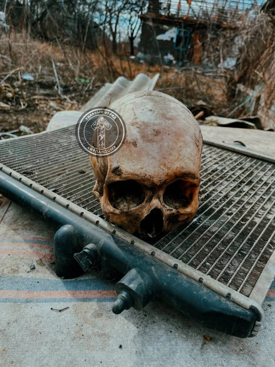 Изображение к публикации