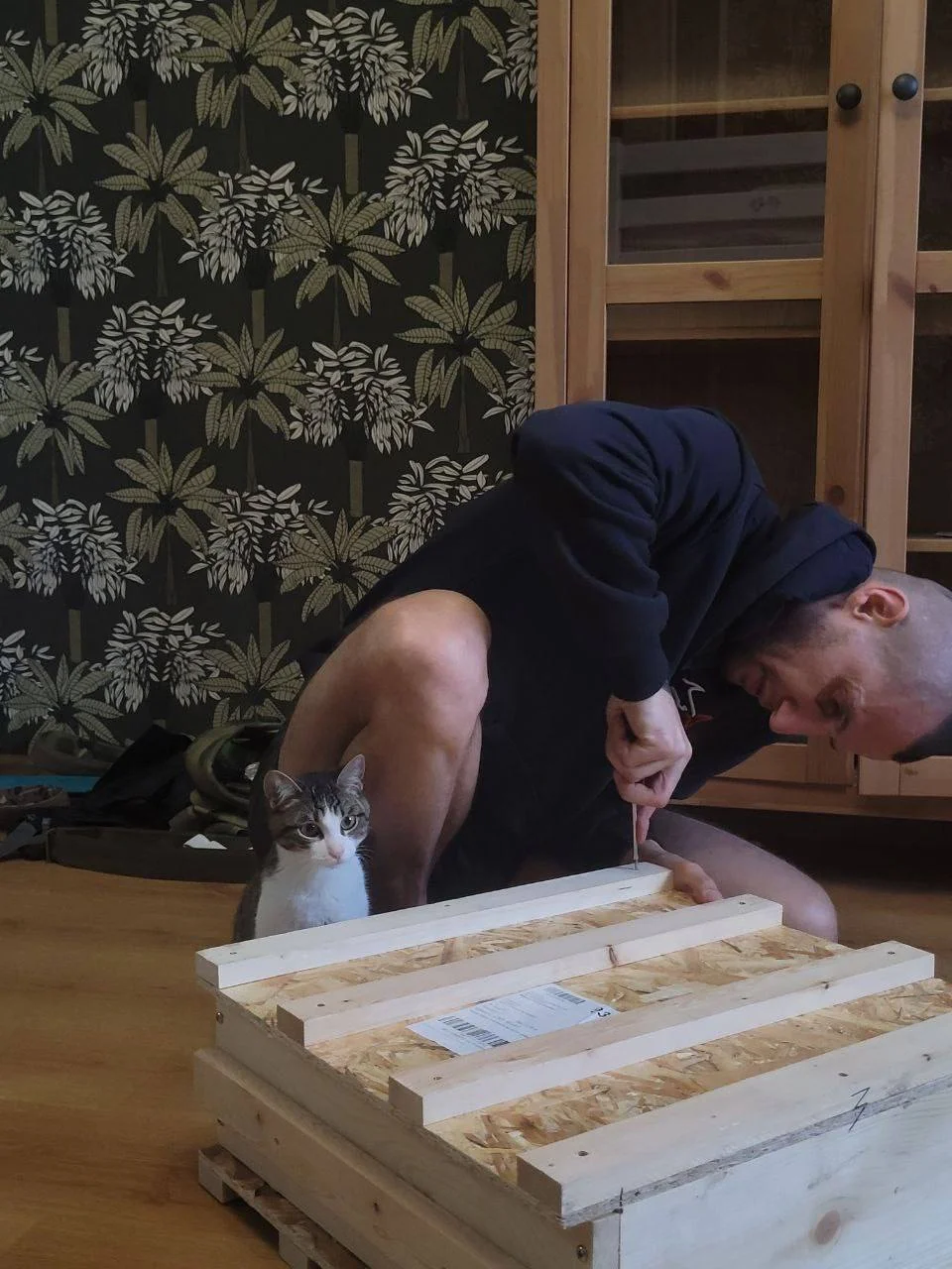 Изображение к публикации