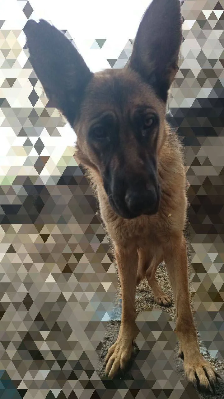 Изображение к публикации