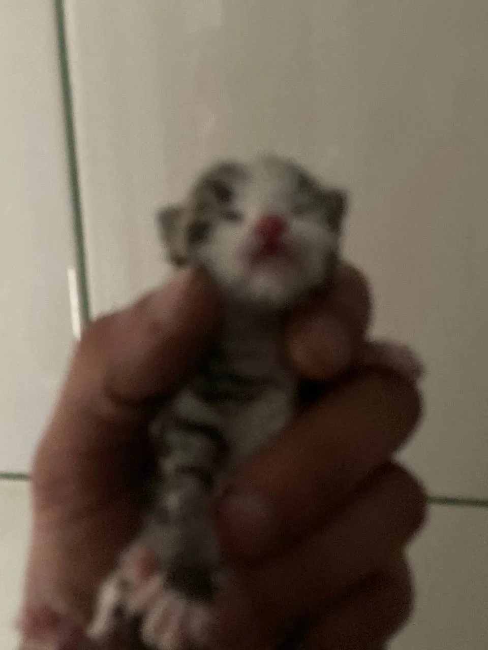 Изображение к публикации