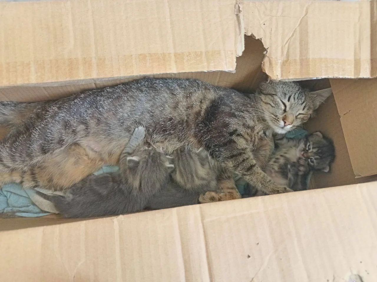 Изображение к публикации