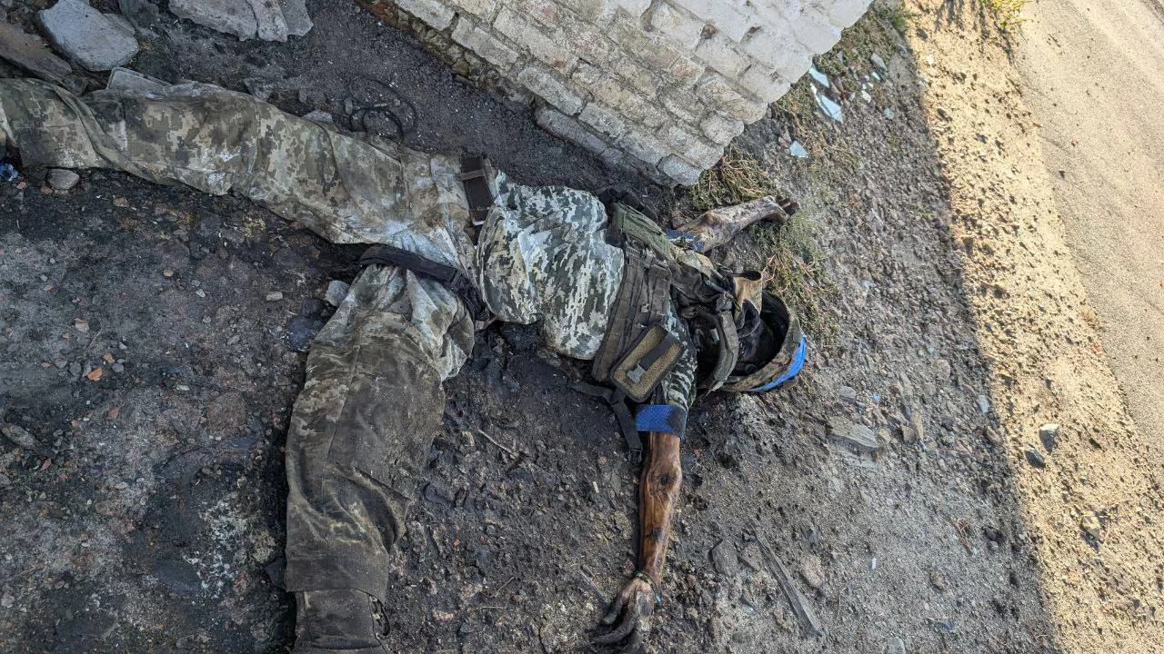 Изображение к публикации