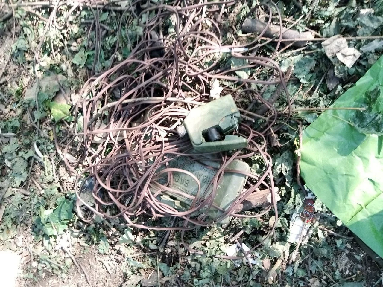 Изображение к публикации