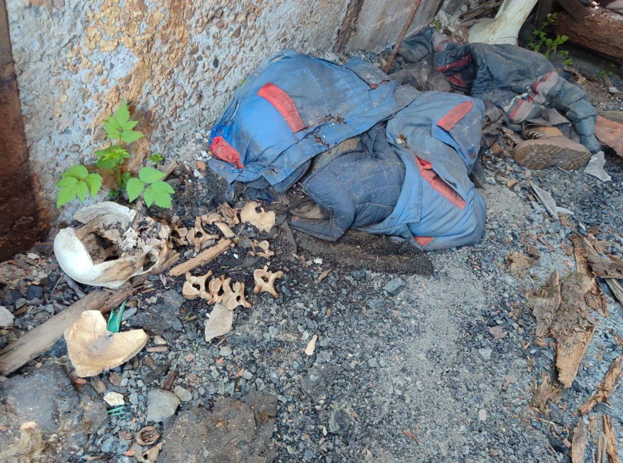 Изображение к публикации