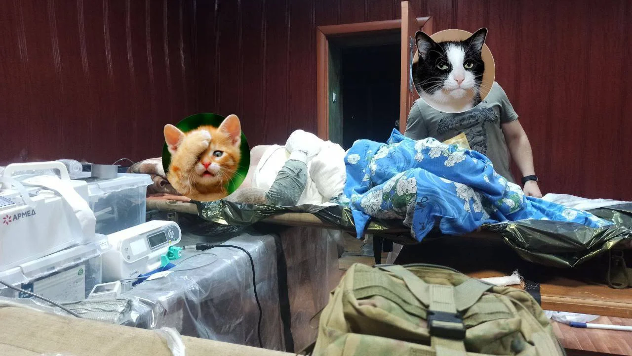 Изображение к публикации