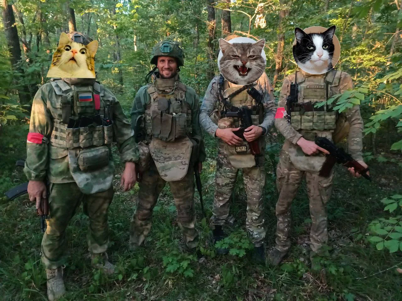 Изображение к публикации