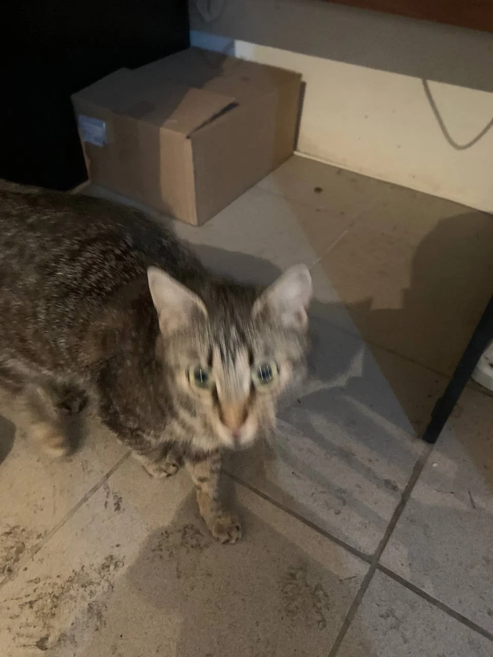 Изображение к публикации