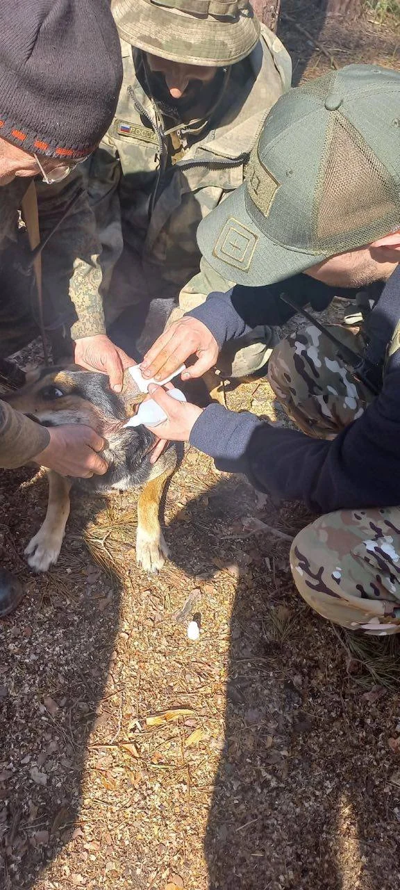 Изображение к публикации