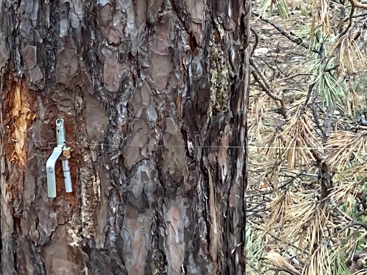 Изображение к публикации