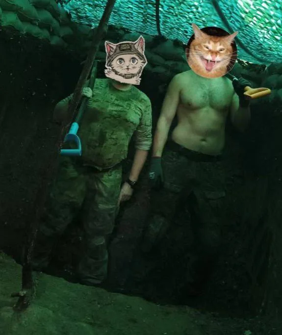 Изображение к публикации