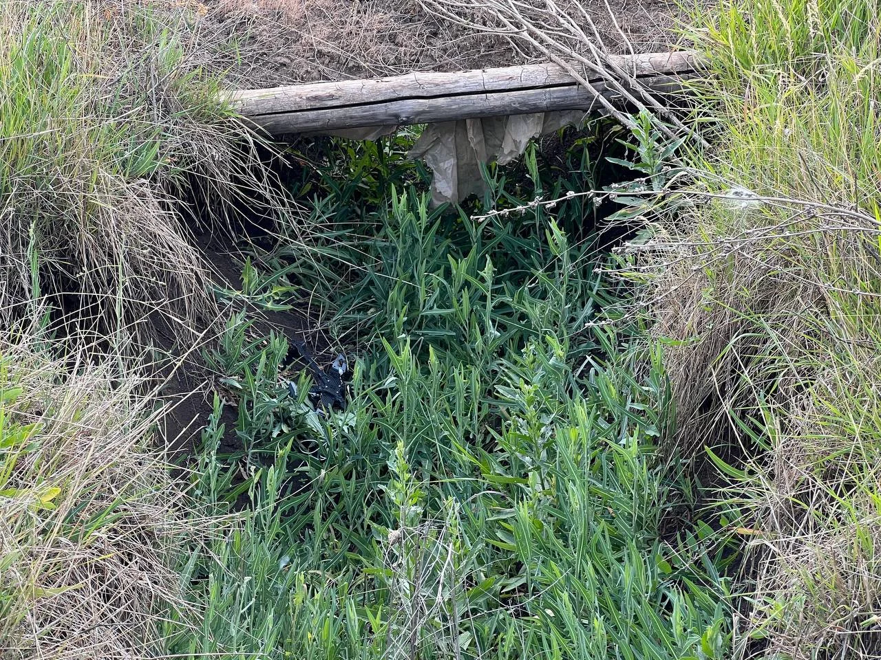 Изображение к публикации