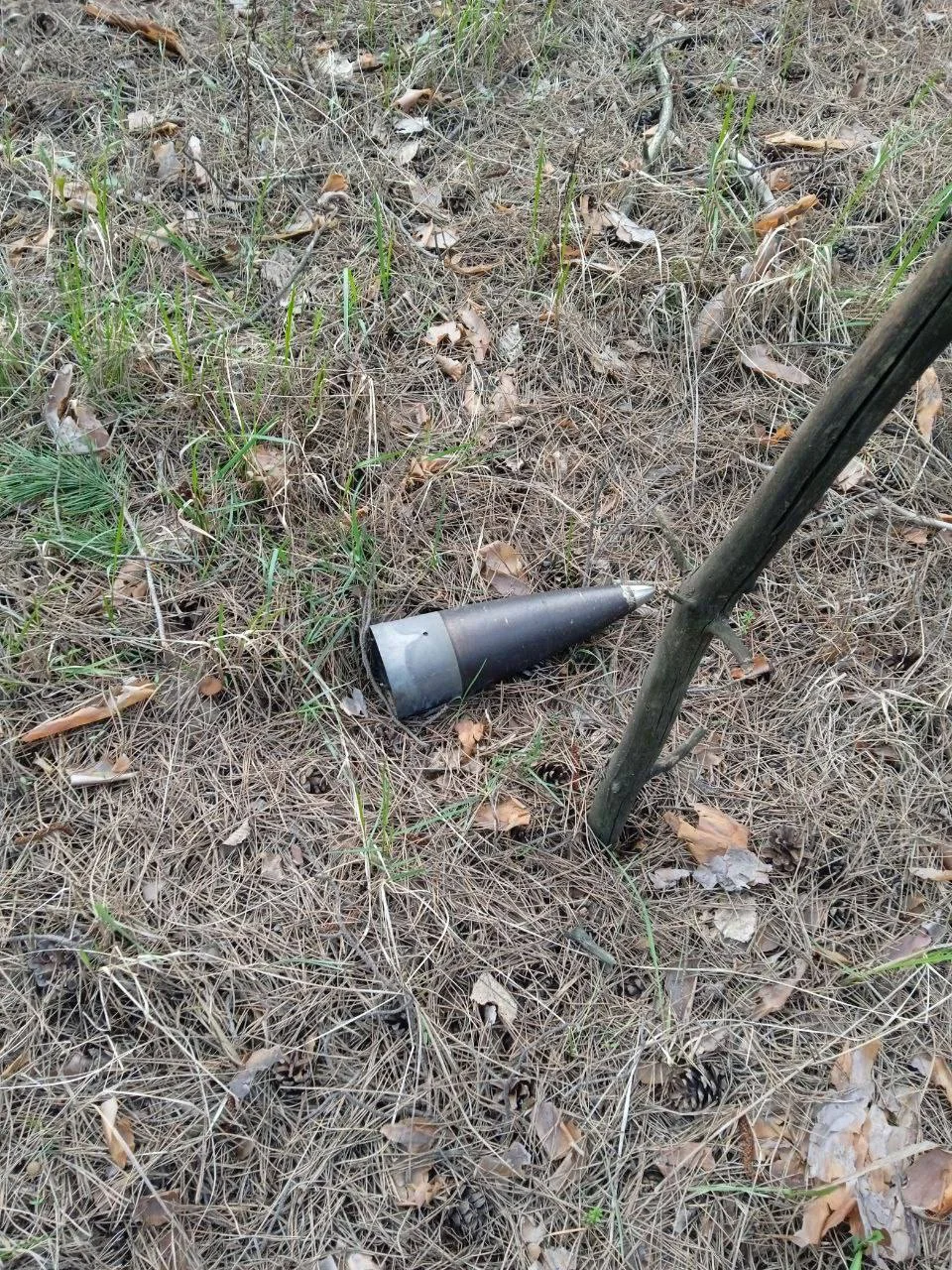 Изображение к публикации