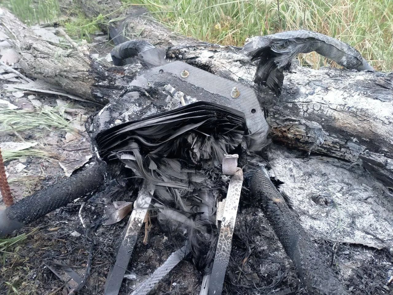 Изображение к публикации