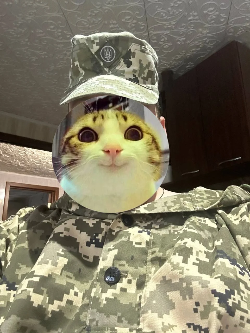 Изображение к публикации