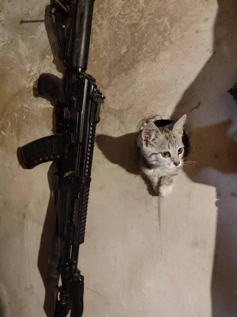 Изображение к публикации