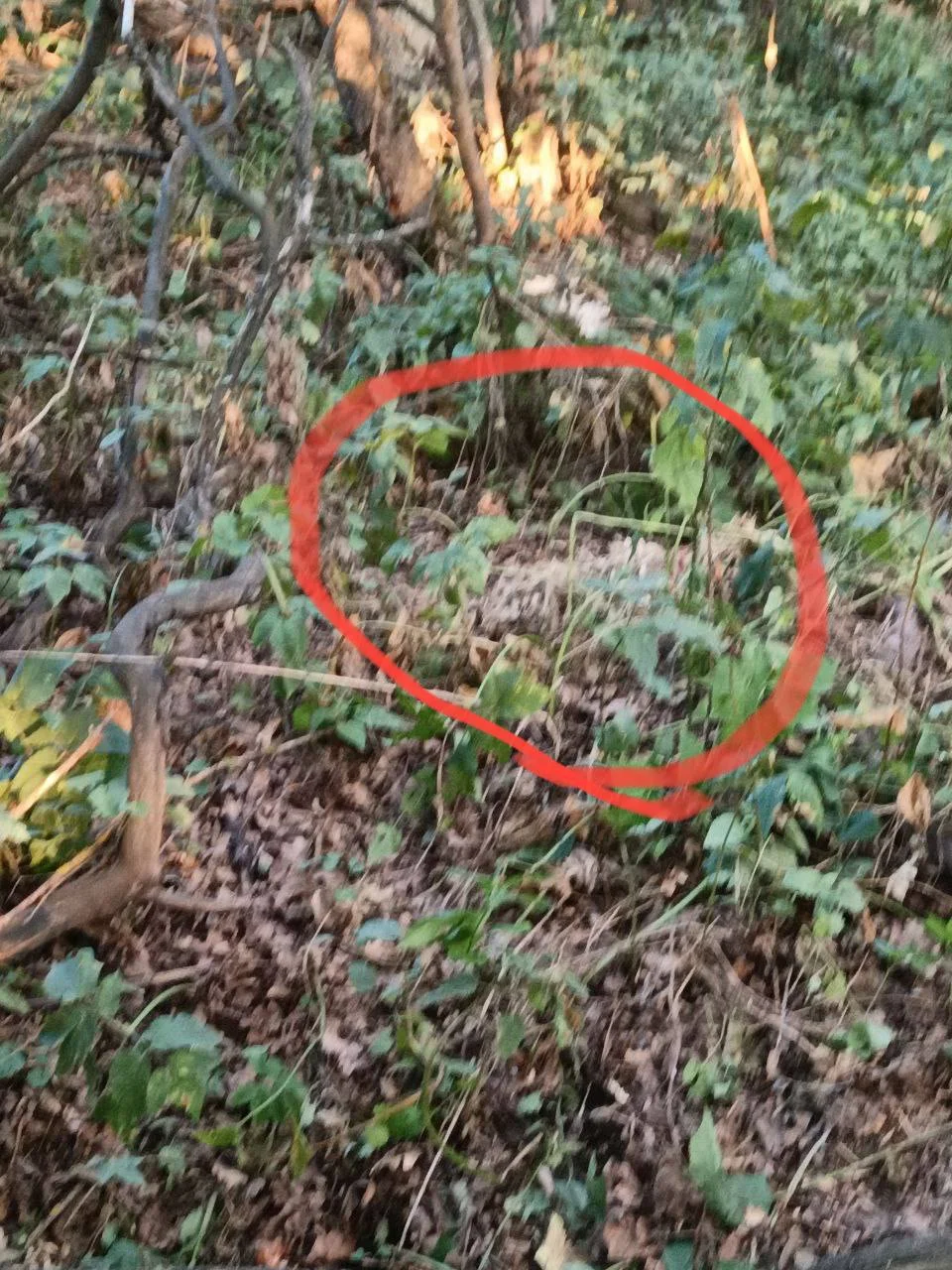 Изображение к публикации