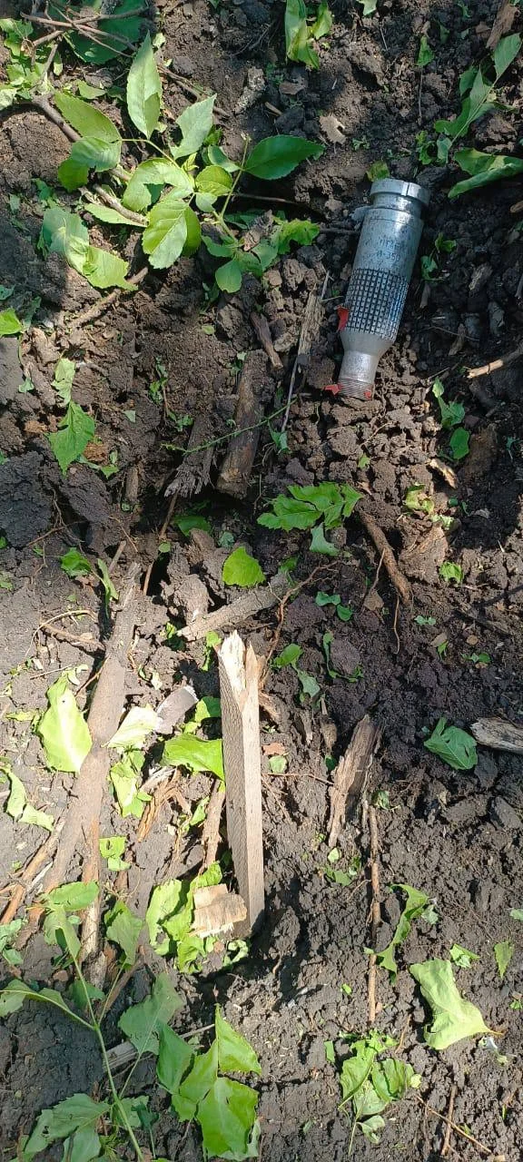 Изображение к публикации