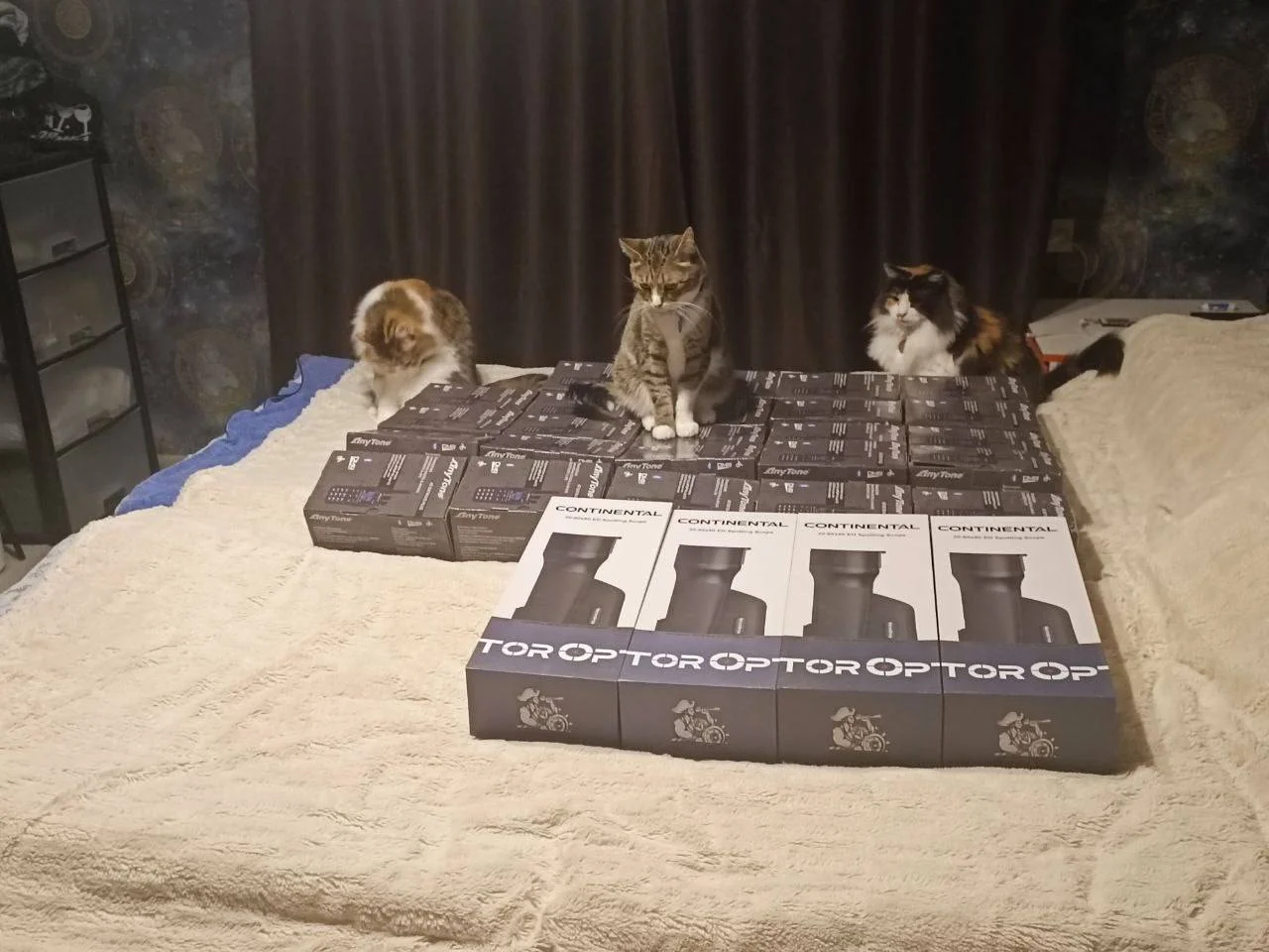 Изображение к публикации