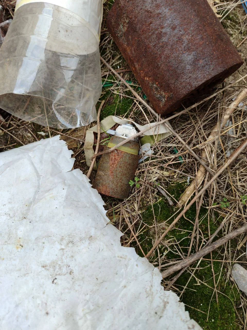 Изображение к публикации