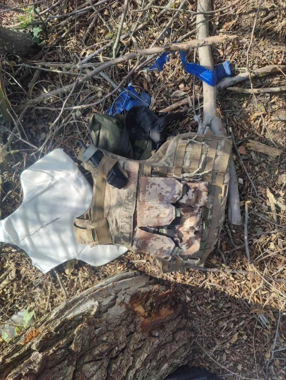 Изображение к публикации