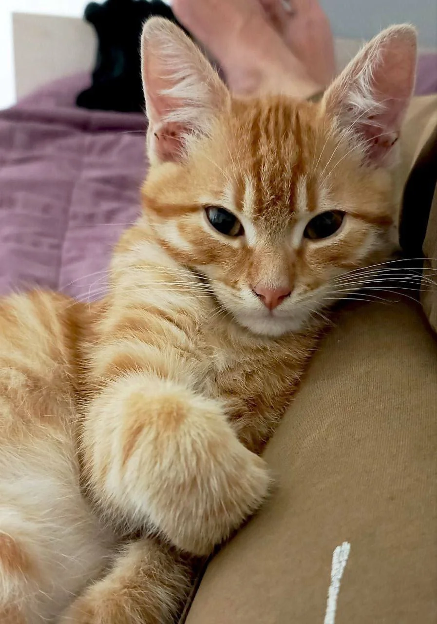 Изображение к публикации