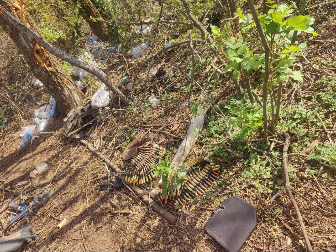 Изображение к публикации