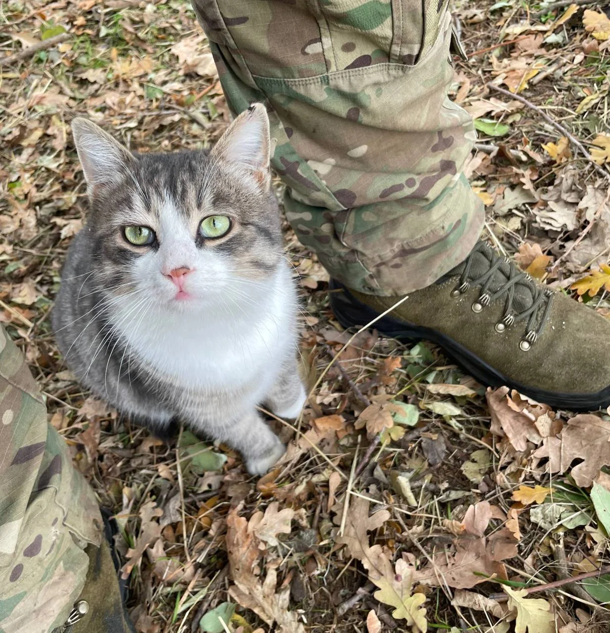 Изображение к публикации