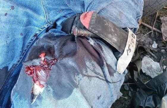 Изображение к публикации