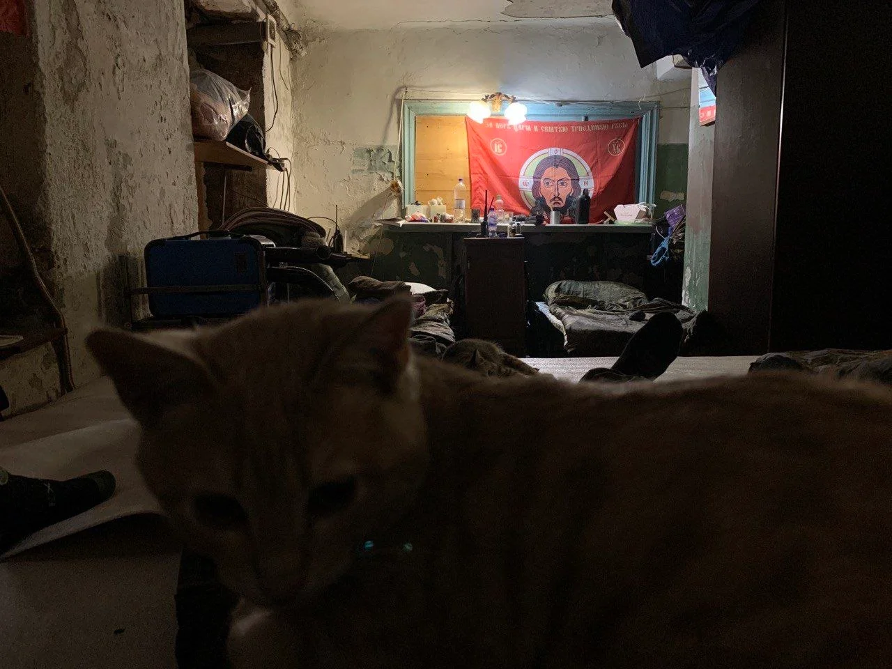 Изображение к публикации