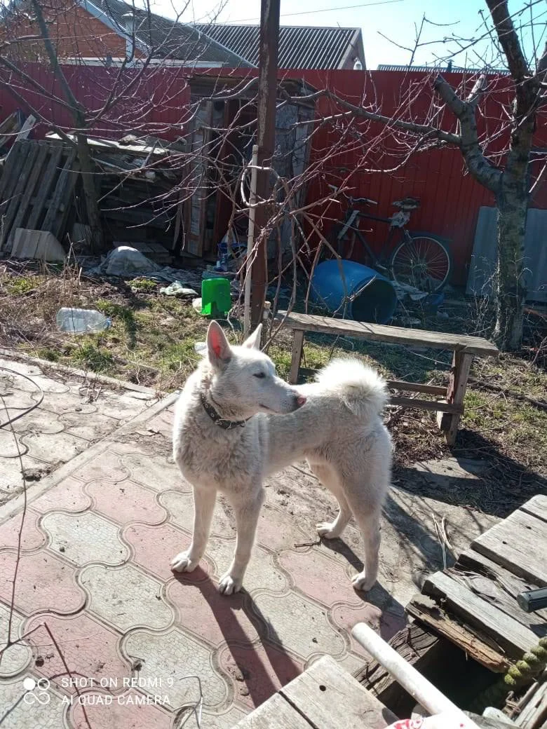 Изображение к публикации